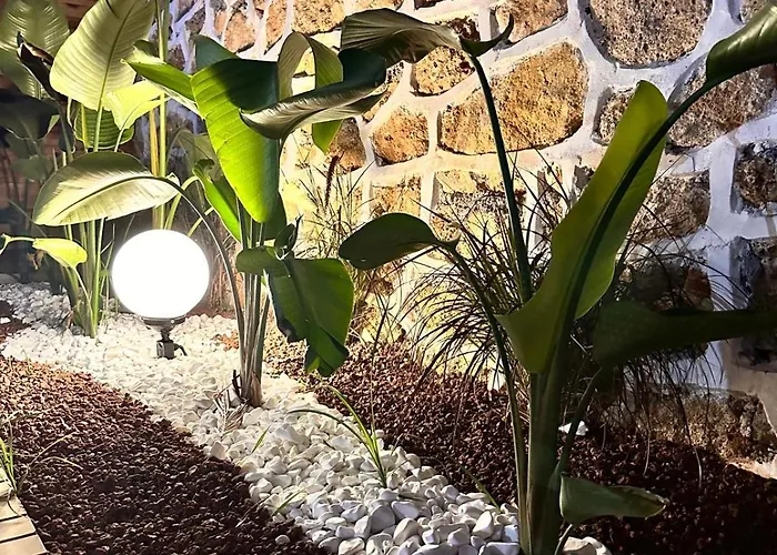 Silence Garden Bir Yatak Odali 公寓 阿拉尼亚