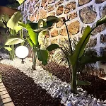 Silence Garden Bir Yatak Odalı Daire Alanya