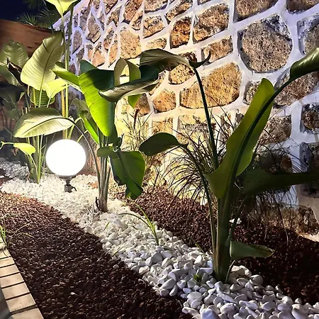 Silence Garden Suite Bir Yatak Odali Daire Apartament Alanya